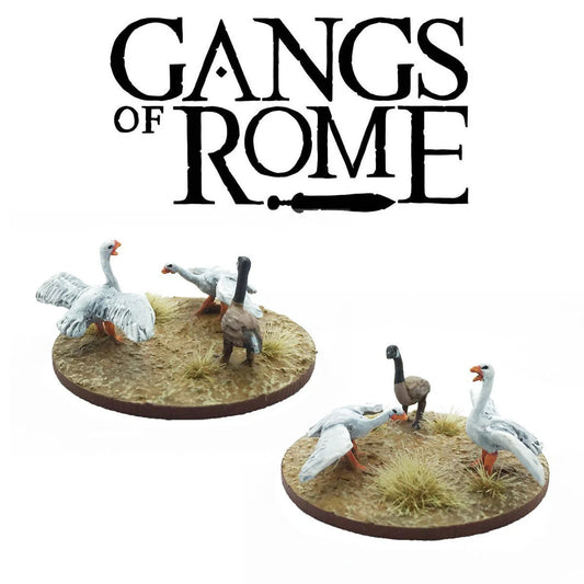 Footsore Gangs of Rome  Geese (6)