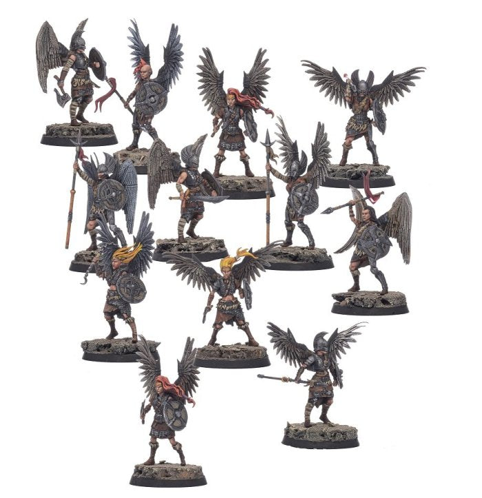 Valkyries: Shieldwolf Miniatues