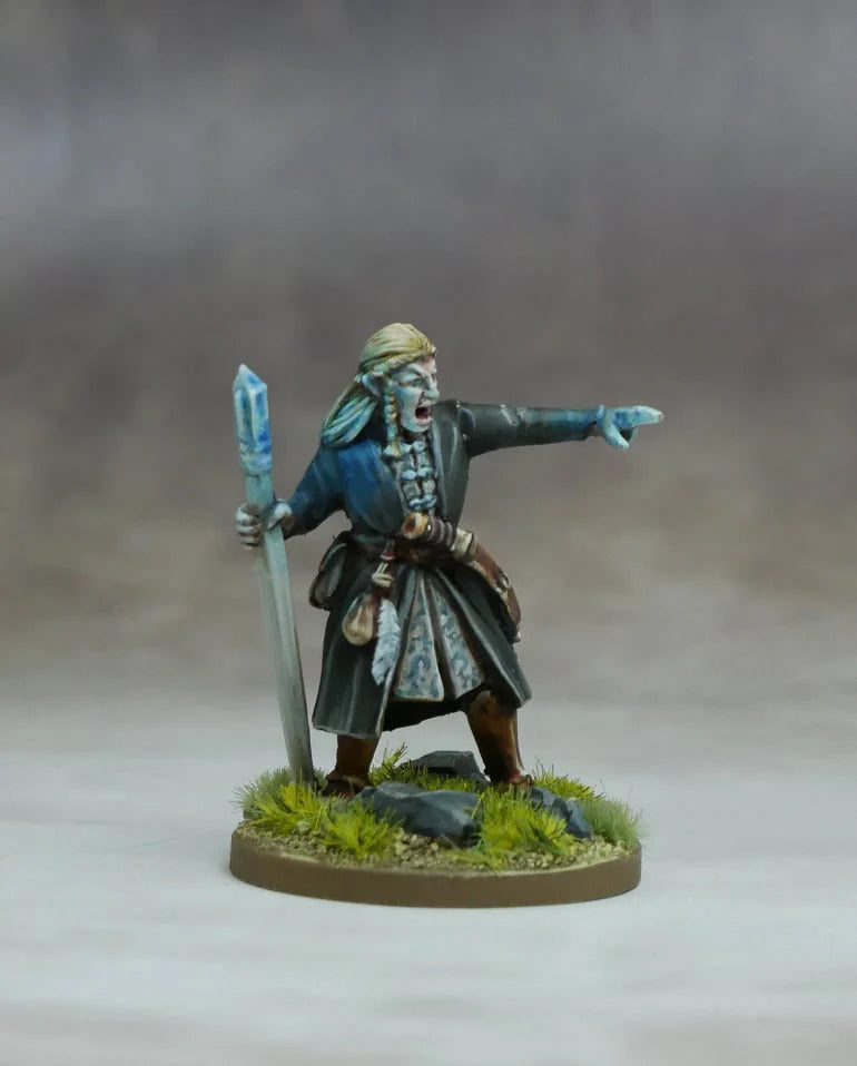 Warhost Fantasy Elf High Mage Elven Host 28mm