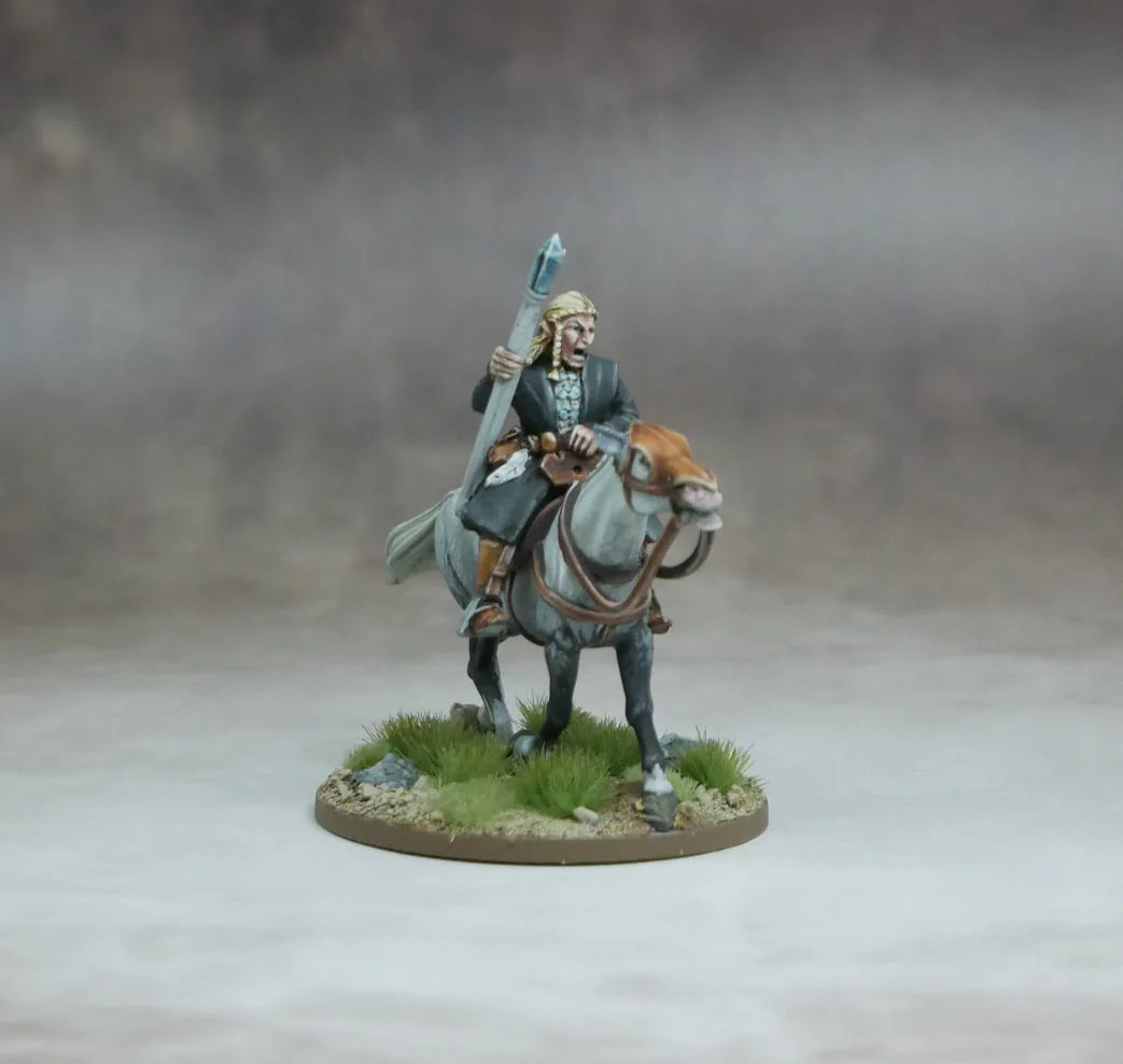 Warhost Fantasy Elf High Mage Elven Host 28mm