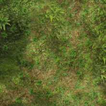 Wargaming Battle Mat 6x4 Pacific Jungle wargaming mats