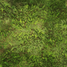 Wargaming Battle Mat 6x4 Pacific Jungle wargaming mats