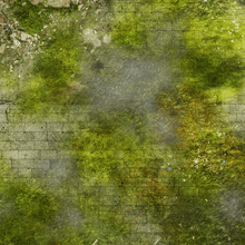 Wargaming Battle Mat 6x4 Walking Dead wargaming mat