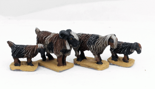 Middle Eastern Goats (4) Saga miniatures