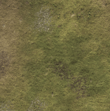 Wargaming Battle Mat 6x4 Muddy plains wargaming mats